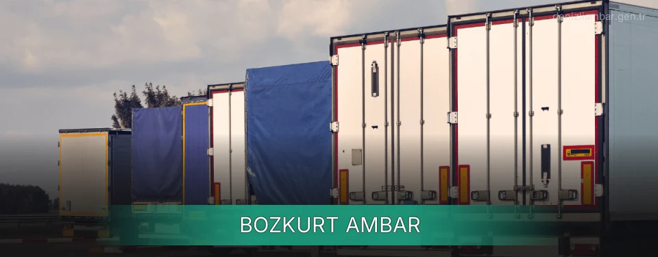 Bozkurt Ambar