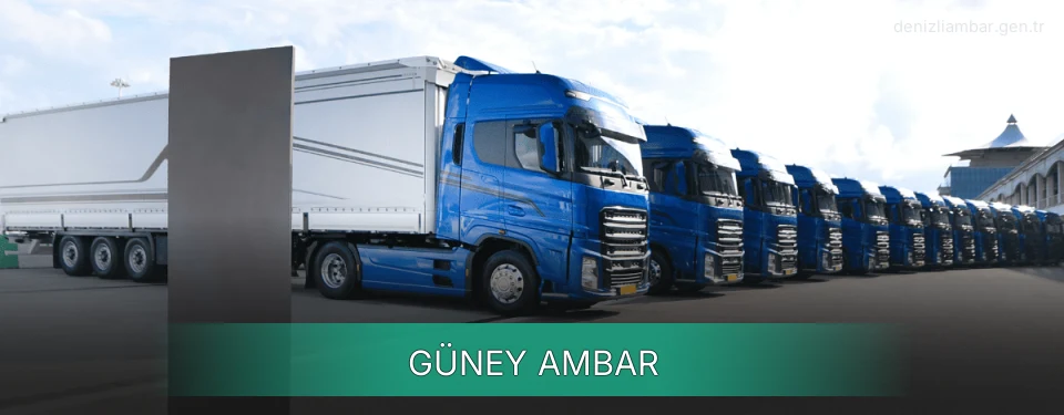 Güney Ambar