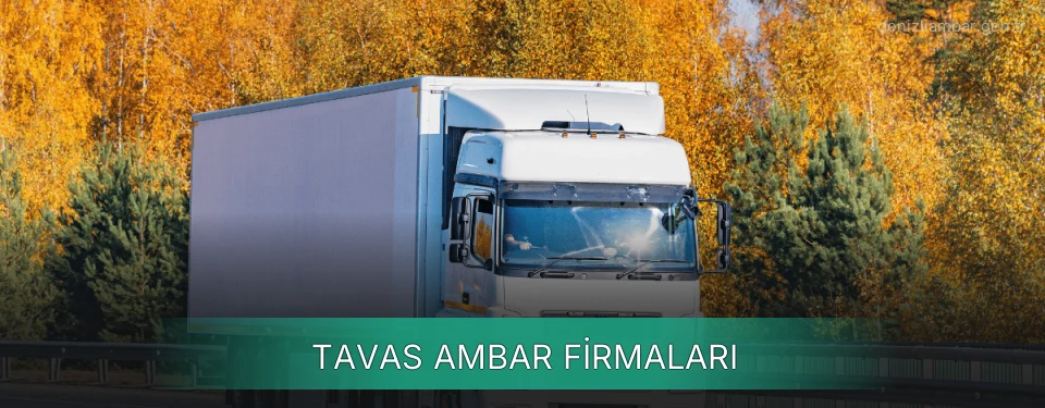 Tavas Ambar Taşımacılık
